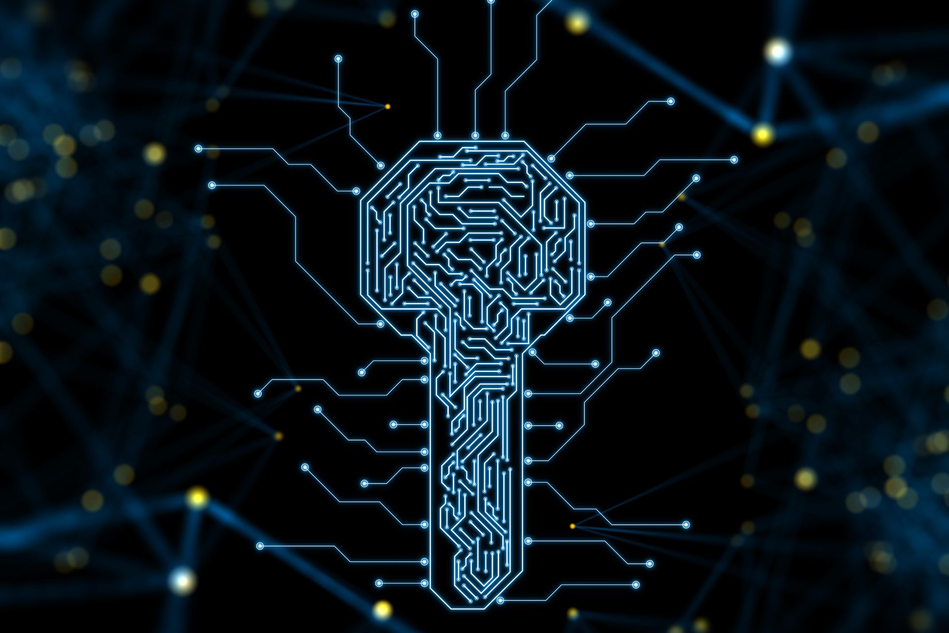 Chiave pubblica e privata: sicurezza blockchain